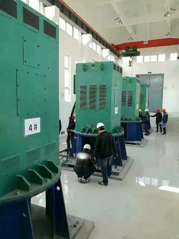 龙江某污水处理厂使用我厂的立式高压电机安装现场