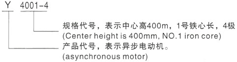 西安泰富西玛Y系列(H355-1000)高压龙江三相异步电机型号说明