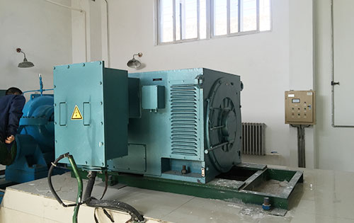 龙江某水电站工程主水泵使用我公司高压电机生产厂家